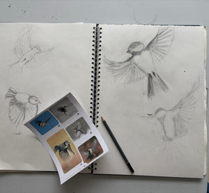 Creative Skills (& Watercolour) Workshop, Saturday Mornings